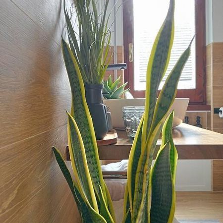 Dom Apartment Luxury 卡利亚里 外观 照片