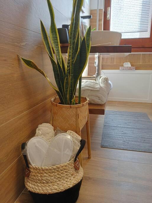 Dom Apartment Luxury 卡利亚里 外观 照片